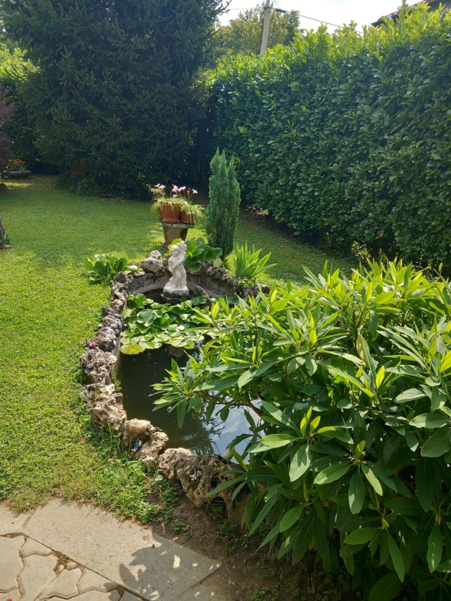 Il Laghetto Bed and Breakfast Torre Canavese Εξωτερικό φωτογραφία
