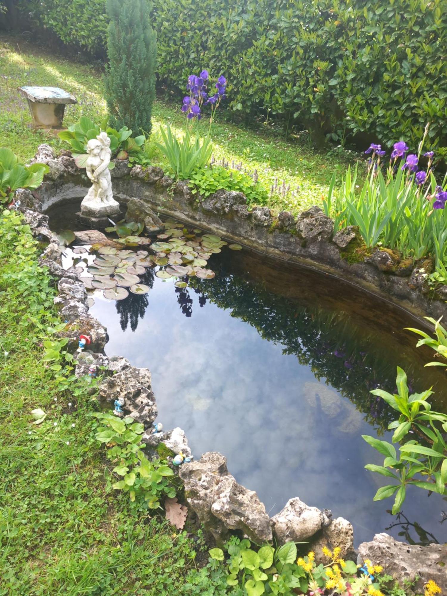 Il Laghetto Bed and Breakfast Torre Canavese Εξωτερικό φωτογραφία